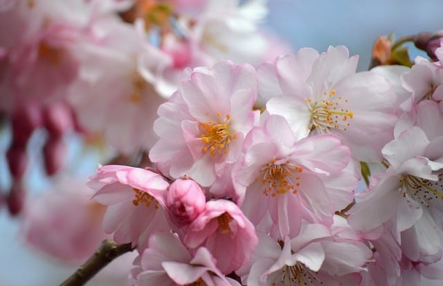有创意的生日礼物，不只是惊喜，而是被认真对待的人生片段