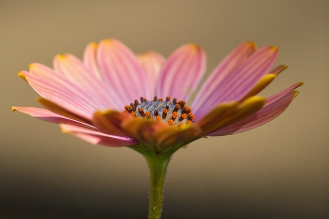 圣诞节礼物送什么才不踩雷礼品买手把2026年送礼趋势和实用清单摊开讲明白