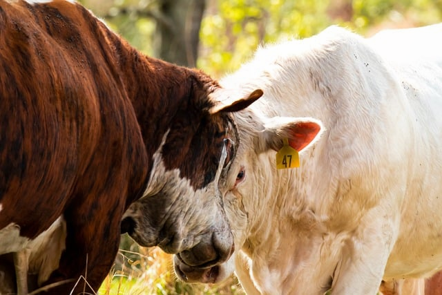 商务伴手礼用什么好做了12年企业采购后，我更建议你先避开这3类“看着体面、实则减分”的礼